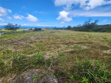 Terrain