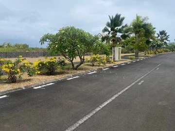 Terrain