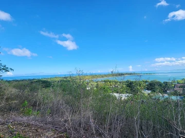 Land