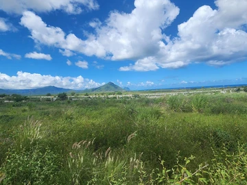 Land