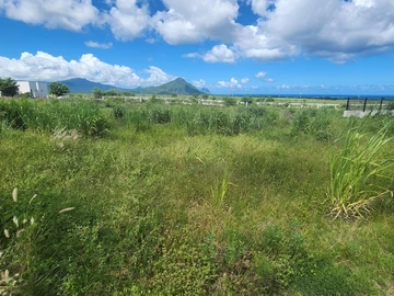 Land