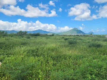 Land
