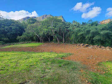 Terrain