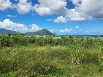 Land