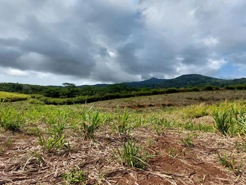 Agricultural Land