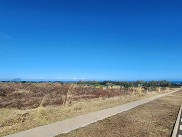 Land
