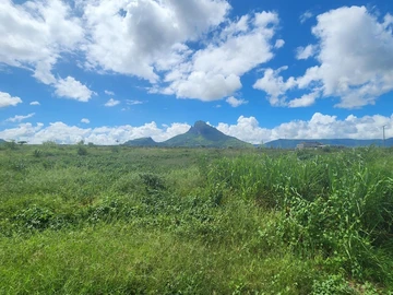 Land
