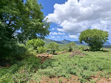 Land