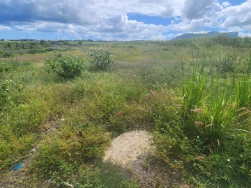 Land