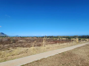 Land