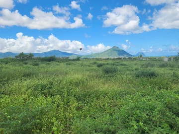 Land