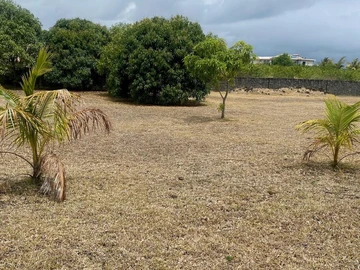 Terrain