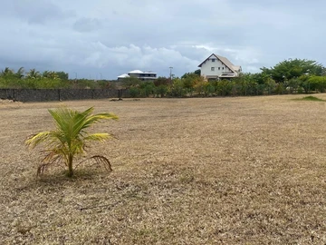 Terrain