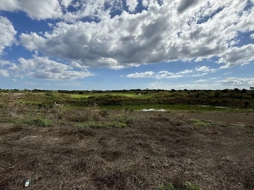 Land