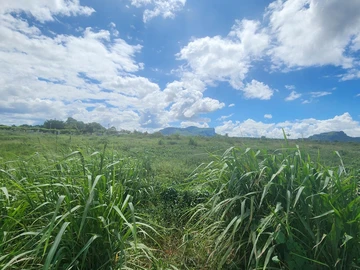 Land