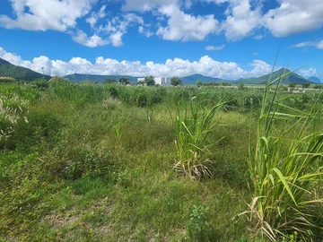 Land