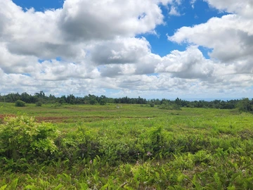 Terrain