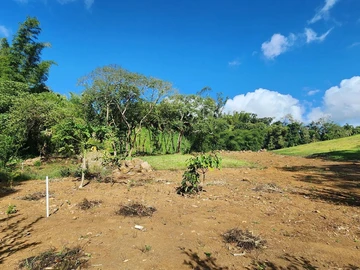 Terrain