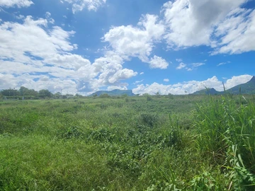 Land