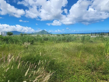 Land