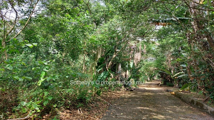 Nature Serenity