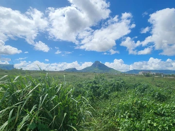 Land