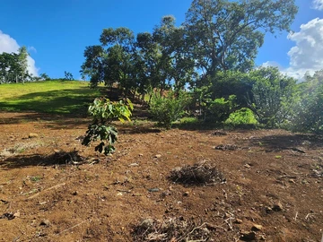 Terrain