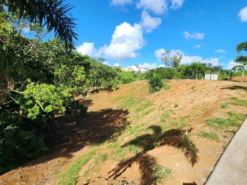 Terrain