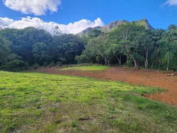 Terrain
