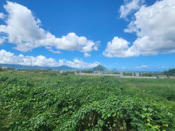 Land