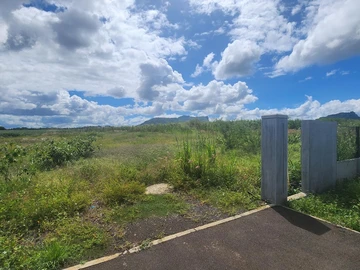Land