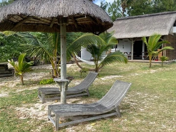 Terrain