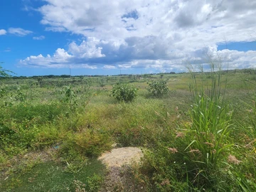Land