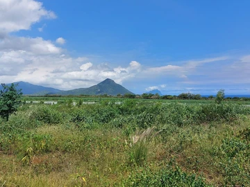 Land