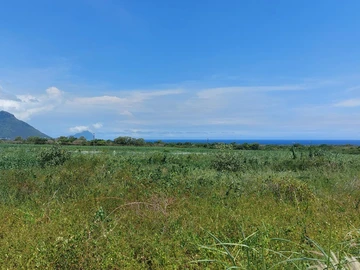Land