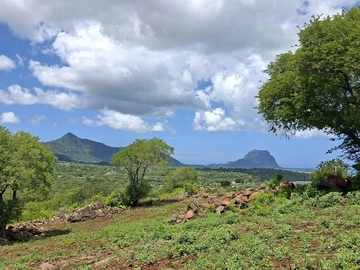 Land