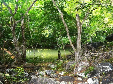 Land