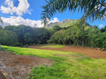 Terrain