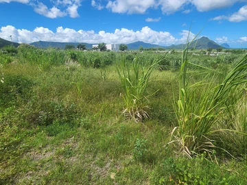 Land