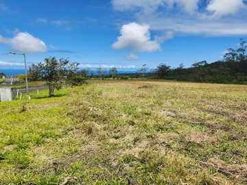 Terrain