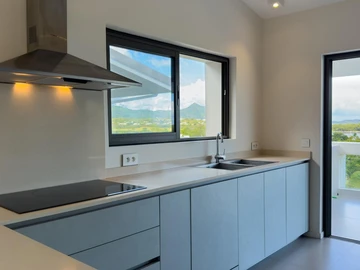3 Bedroom Penthouse