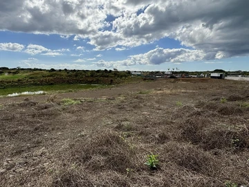 Land