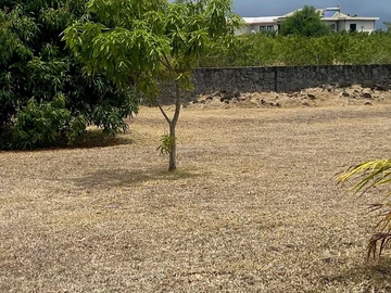 Terrain