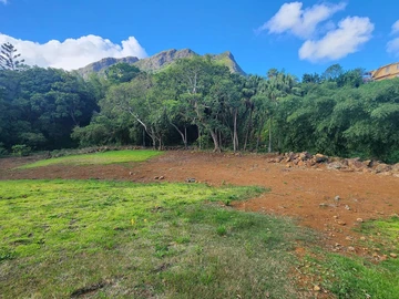 Terrain