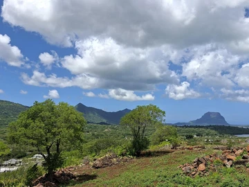 Land