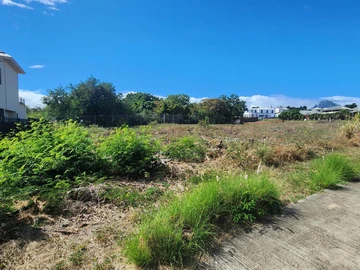 Land