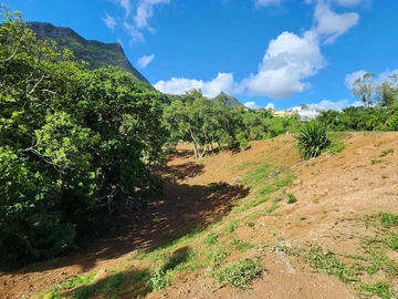 Terrain