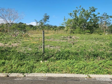 Land