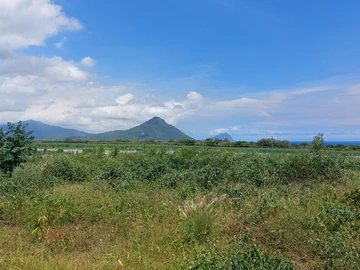 Land