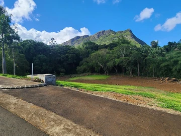 Terrain